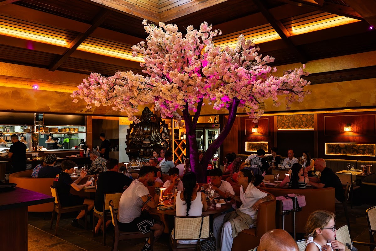 Thai Botánico