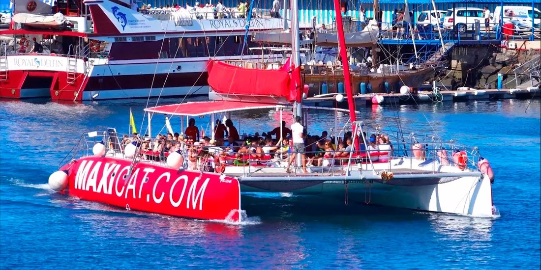 Maxicat catamaran — 3h sailing trip