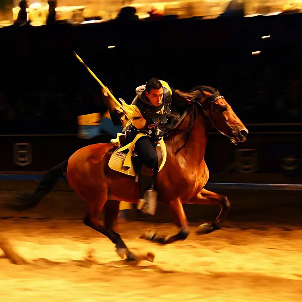 Medieval dinner Show in Tenerife