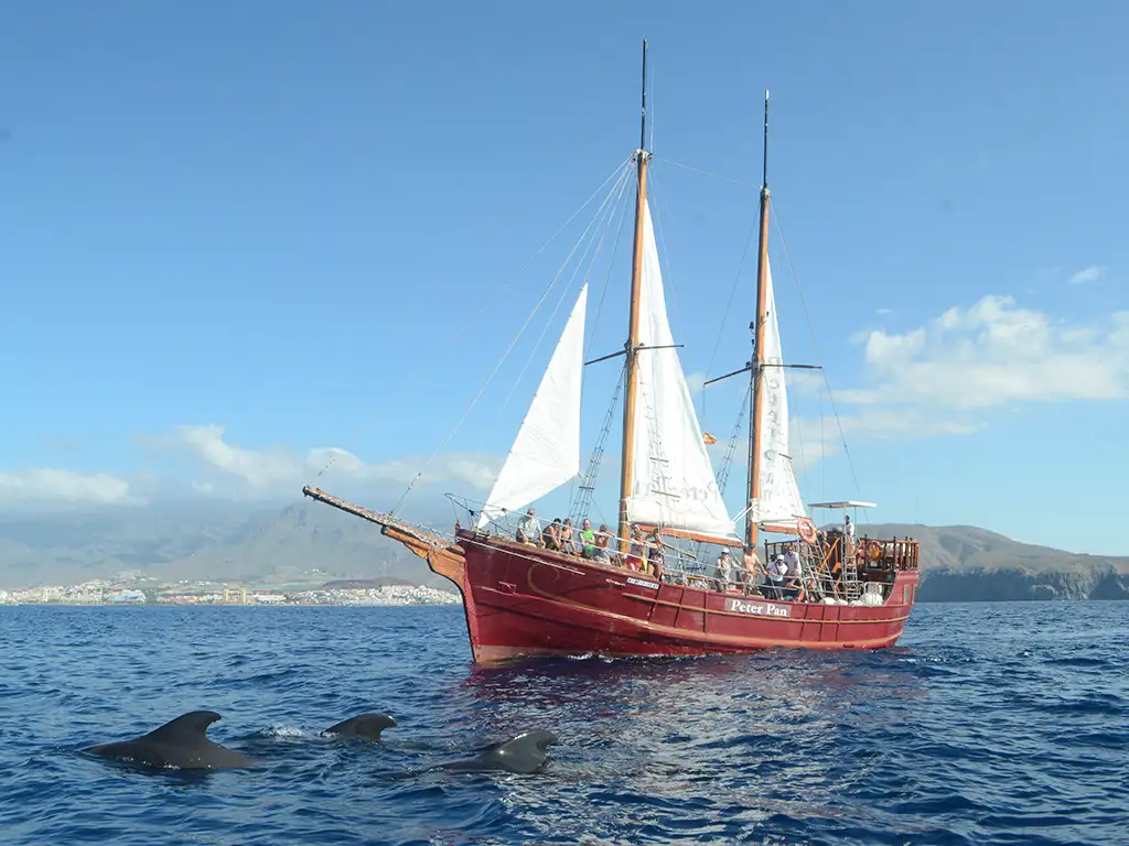 Peter Pan pirate ship — 2 hours boat trip