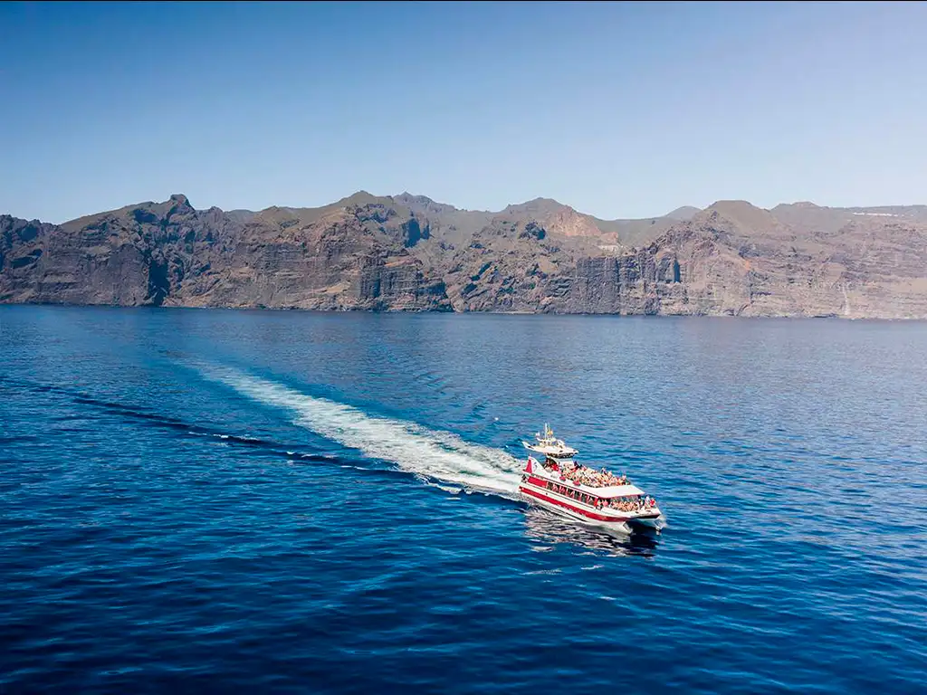 Royal Delfin Catamaran — Boat trip with underwater vision