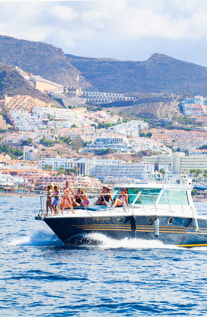 White Dreams — 3h whale & dolphin watching